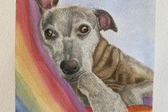 Resting in the Rainbow Bridge